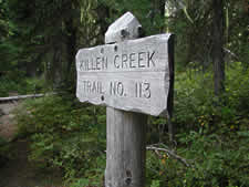 Killen Creek Trail No. 113 begins