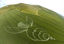 crop circle