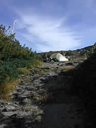 Dave's new tent at High Camp