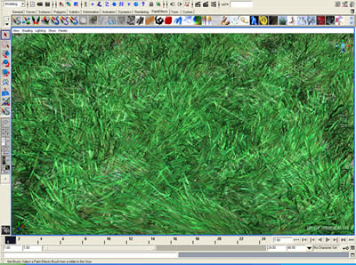 Grass I painted in Maya