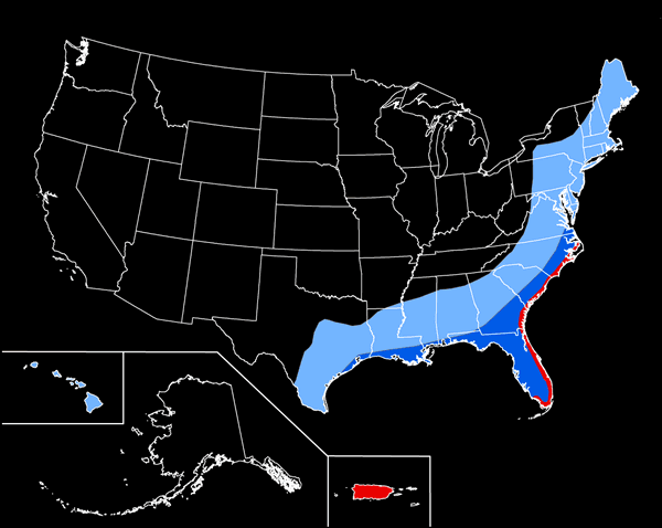 hurricane probability map