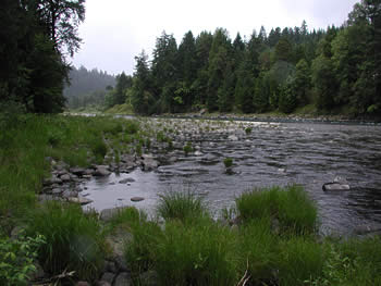 Willamette River, middle fork